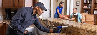 Best Real Estate Pest Inspections  in Roslyn Estates, NY